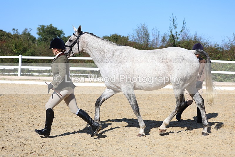 3E7A5562 - Class 9: Open Ridden Hunter