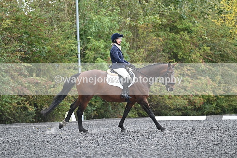 WJ7_4118 - Time 11:43 to 12:09