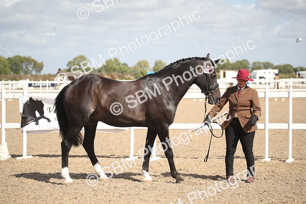 SBM_23423 - Class 604 - 2026 - Area IH Diamond