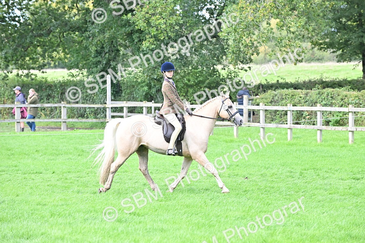 SBM_44499 - S13 - Pony Club Pony