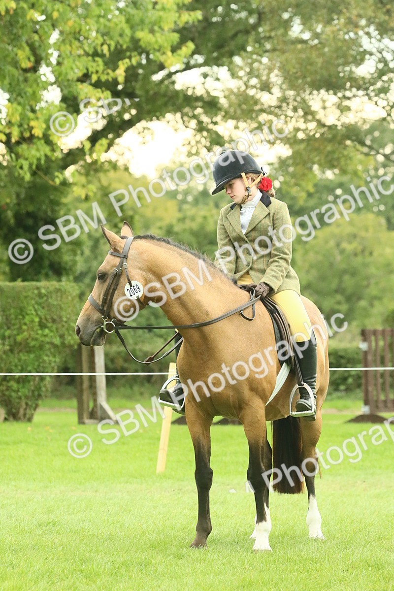 SBM_74025 - S 61 - Show Pony & Show Hunter Pony Ridden