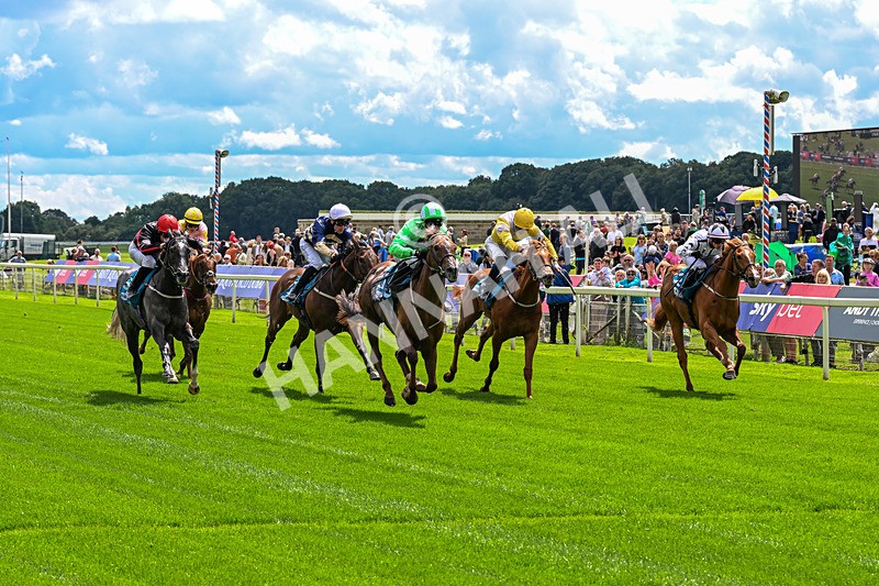 120626-Race 2-Everatease-0113 - Race 2 14.25pm Constant Security Keeping York Racegoers Safe Rous Selling Stakes
