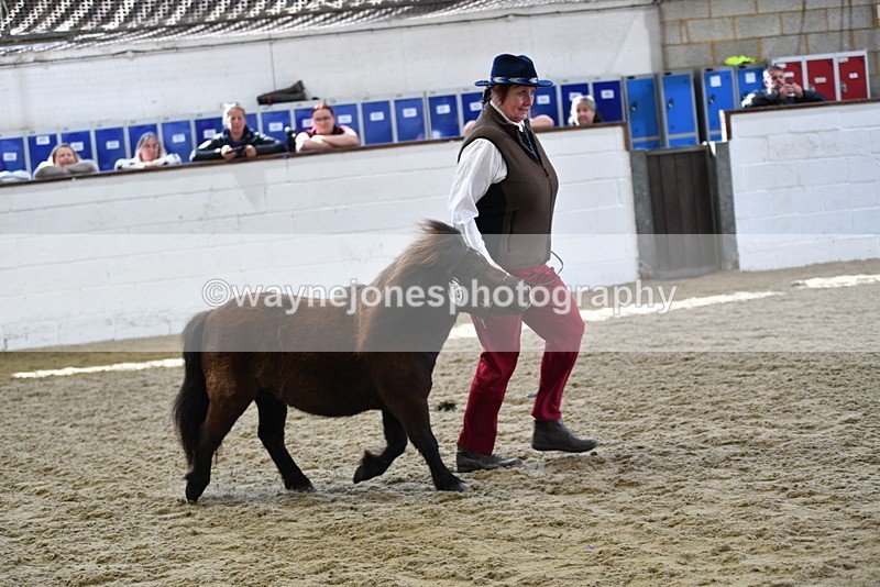 WJ5_5254 - Class 4 In hand M&M - small breeds