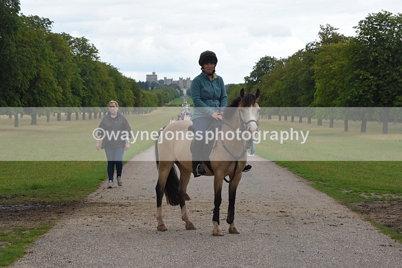 TT3_0018 - Time at Crossing 13:17 to 14:48