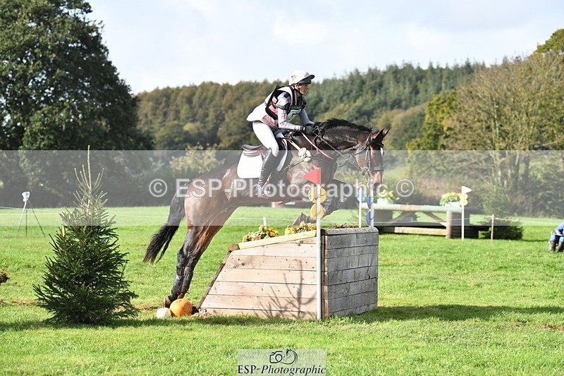 231020-115723-07267 - 057-OVERTON.TILANA'S.GOLD-Claire.Deuten-XC