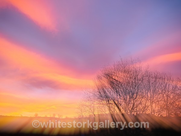 Sunrise - November - Nairn, Scottish Highlands - Zero Miles