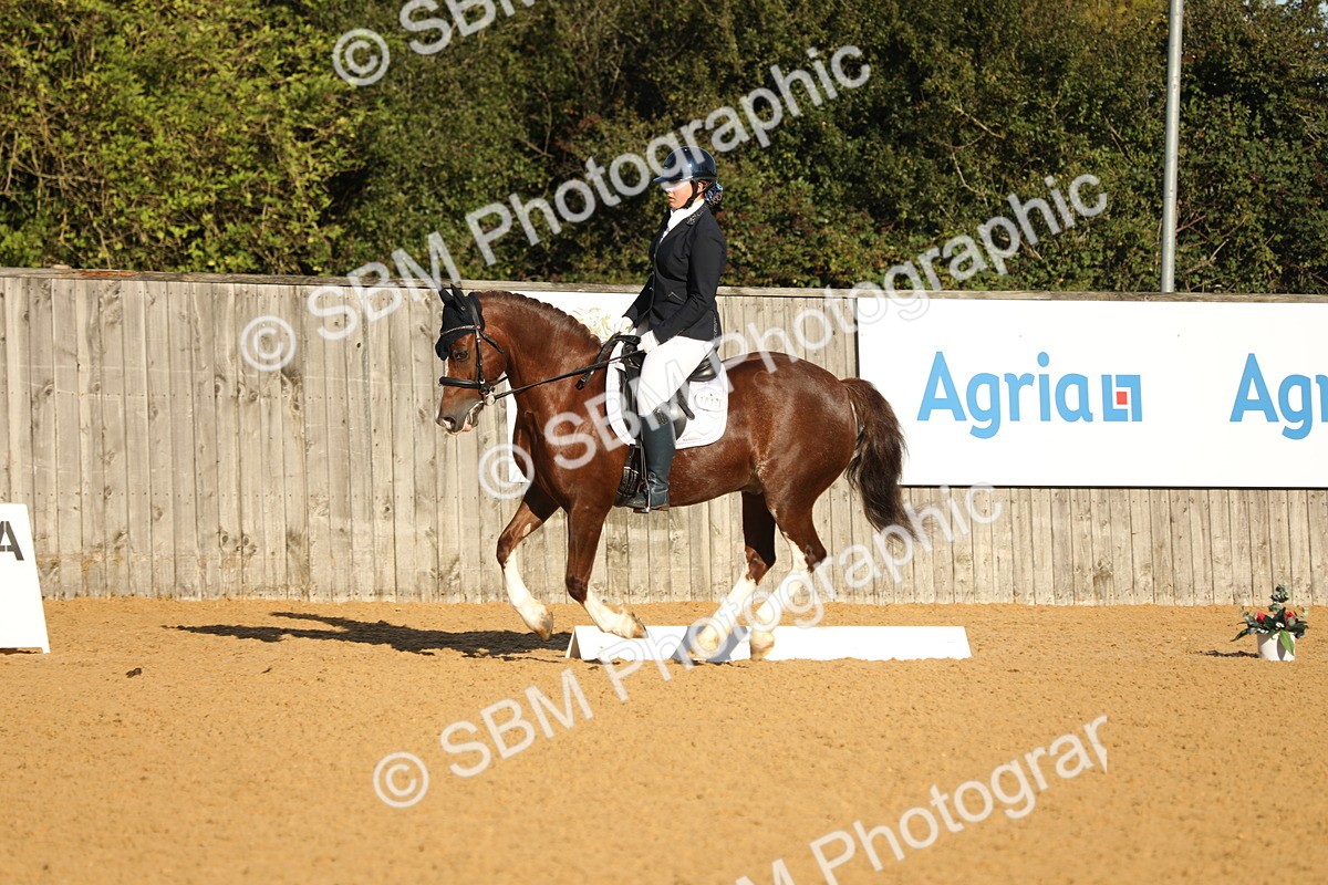 SBM_14195 - D10 - Small Tour Championship - Prelim 2