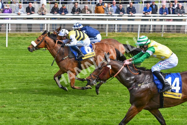 yr11052022r2-40 - Race 2 2.25pm Churchill Tyres Stakes