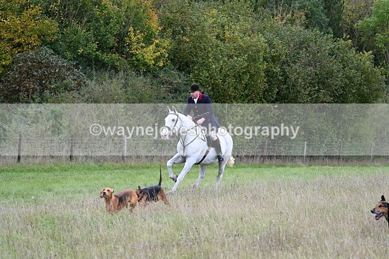 WJ7_3560 - Camera 1 Line 1