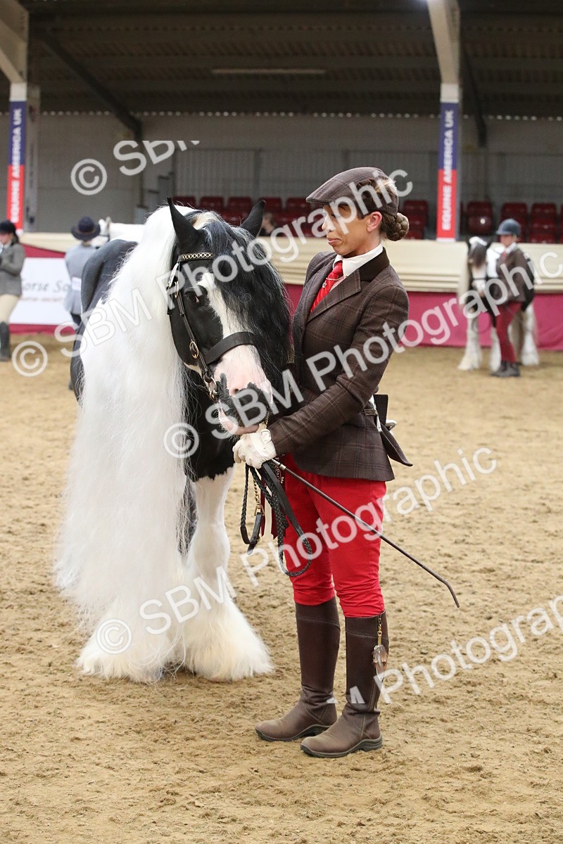 SBM_05799 - Class 9R - Regional IH Pre-Vet