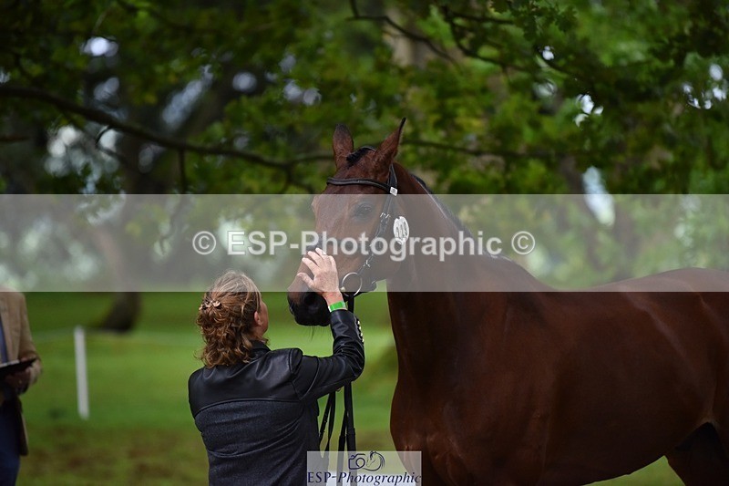 240522-165704-01275 - 229-ROCK_THE_CASPAR-Ali_Wilkes