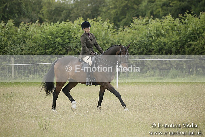 B230619-0328 - Bourne Valley Riding Club Summer Show 23/06/19