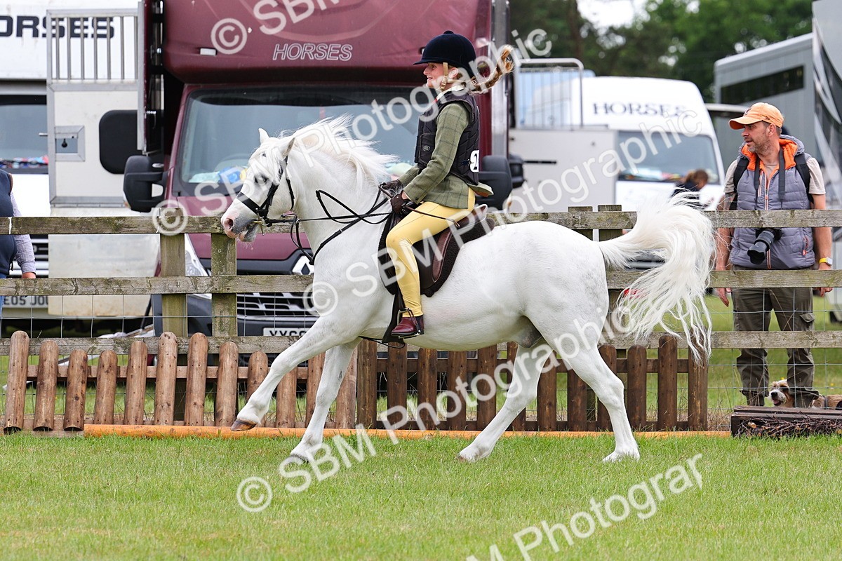 SBM_08761 - Class 42-43 - LIHS BSPS Heritage Working Sports Pony
