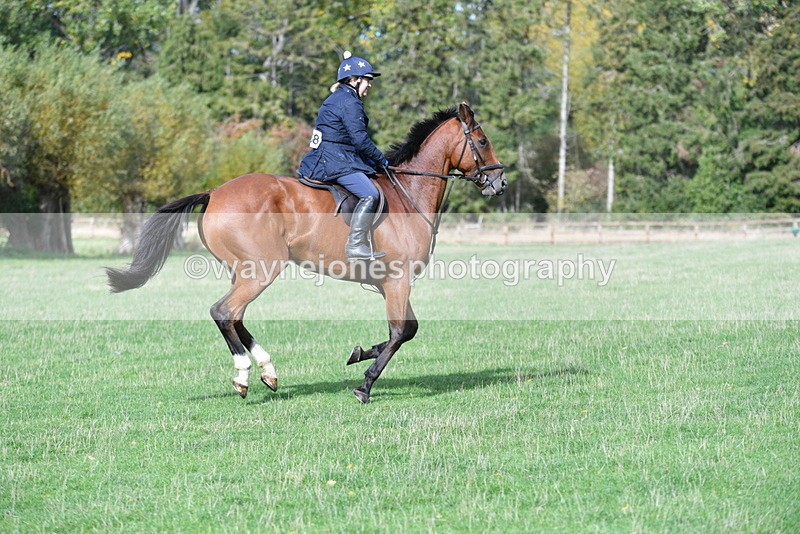 WJ5_8065 - Time 10:31 to 12:01