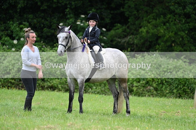 WJ7_4259 - Class 14A Handsome Gelding