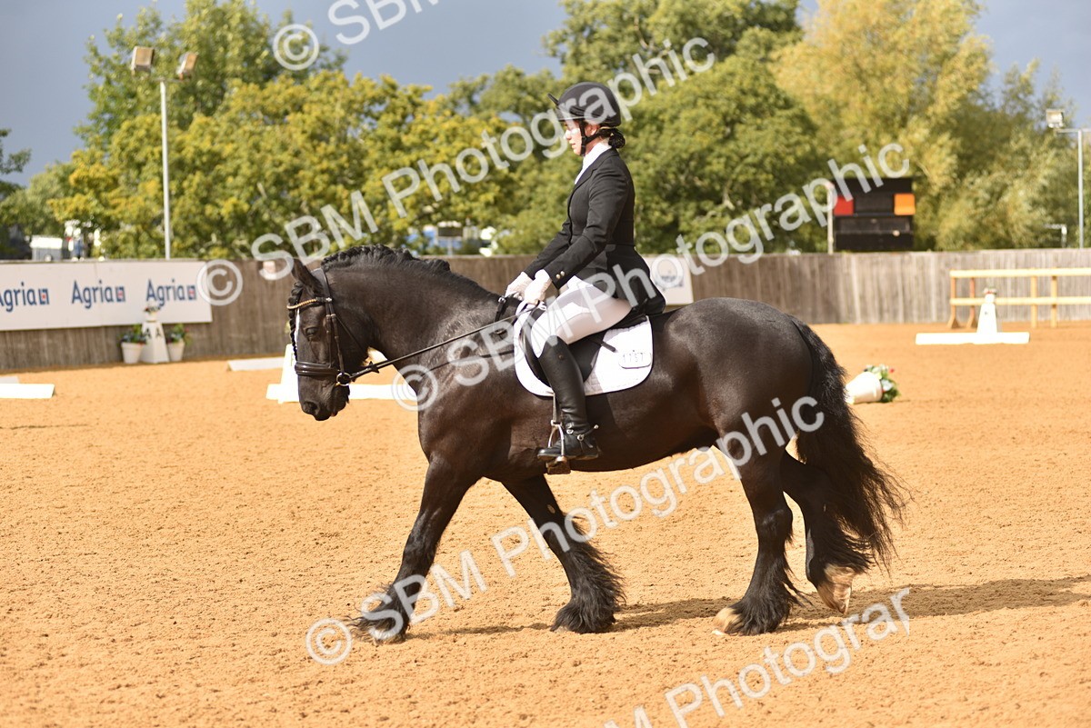 SBM_10131 - D15 - Small Tour Championship Novice 1