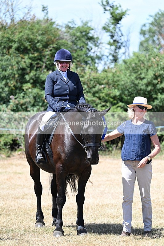 WJ7_3185 - Class 7 Riding Club Show Horse