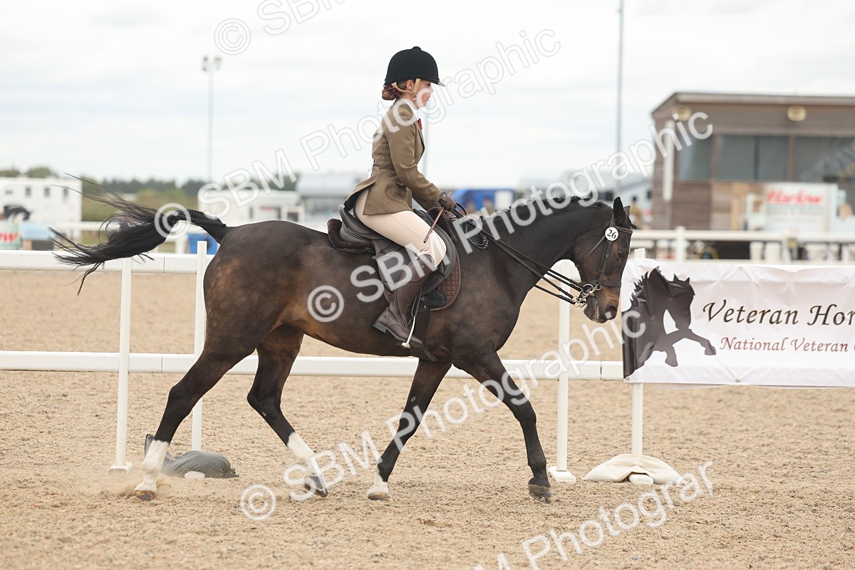 SBM_19105 - Class 316 - Best Pony-Rider Combination