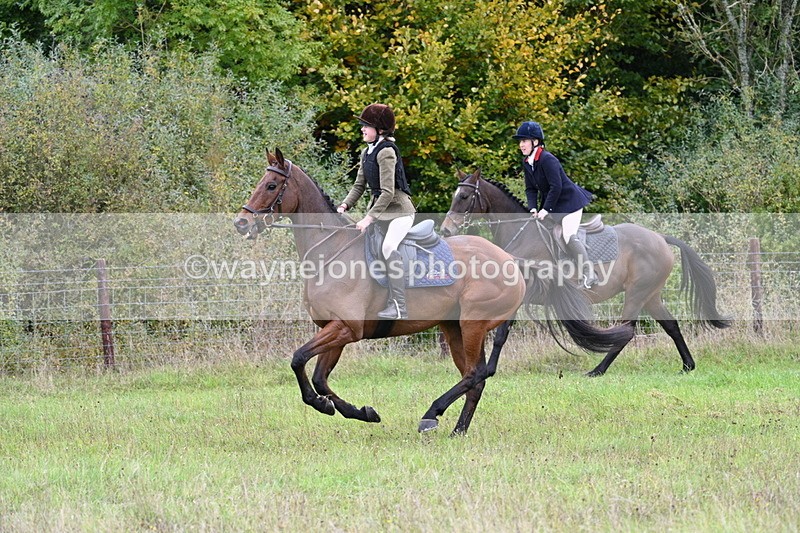 WJ7_3985 - Camera 1 Line 1