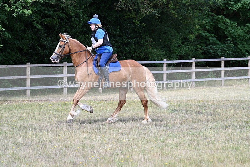 WJ7_0616 - 40cm Time 12:10 to 12:20