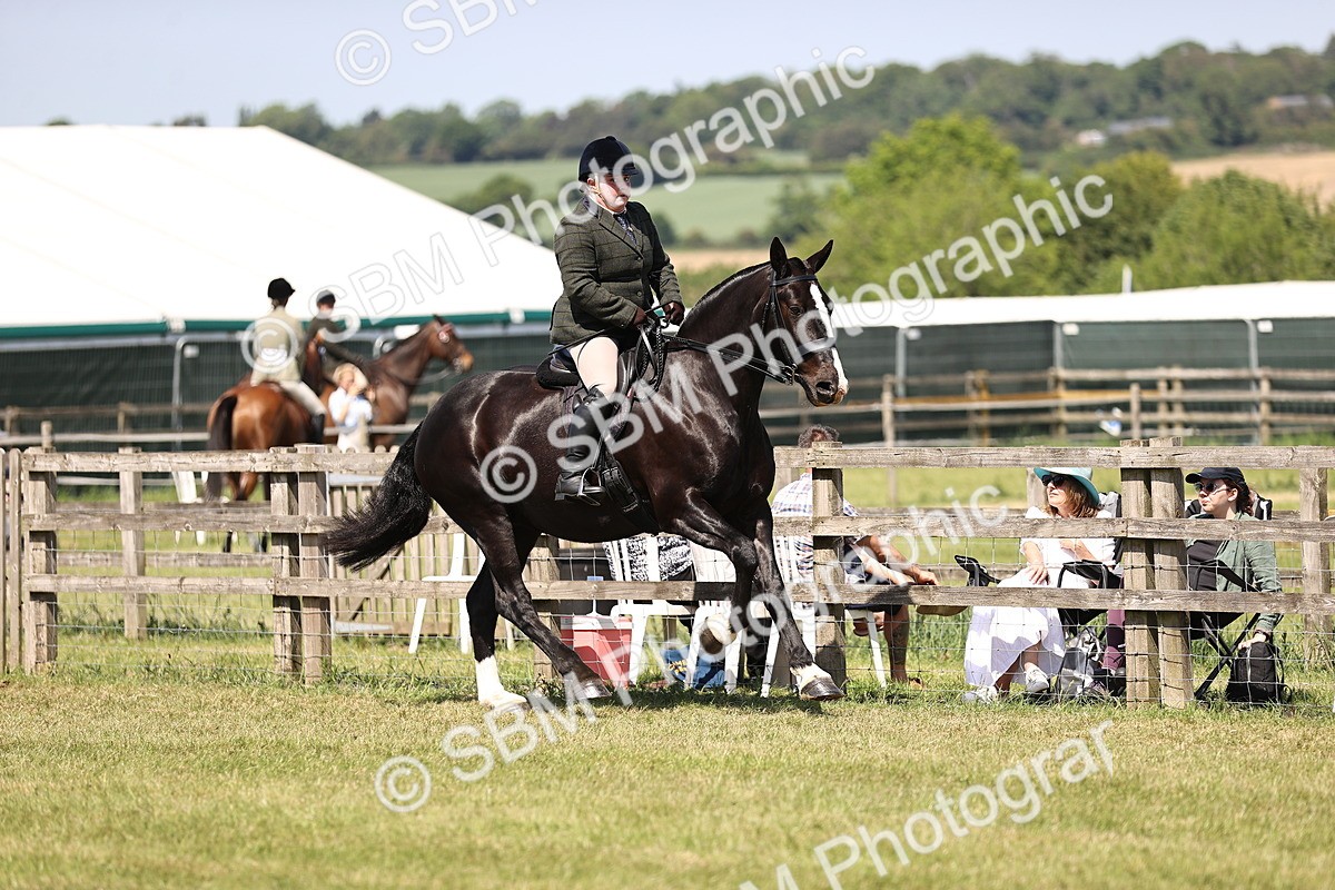 SBM_17849 - Class 81-83 - TSR Ridden Amateur of the Year - Horses