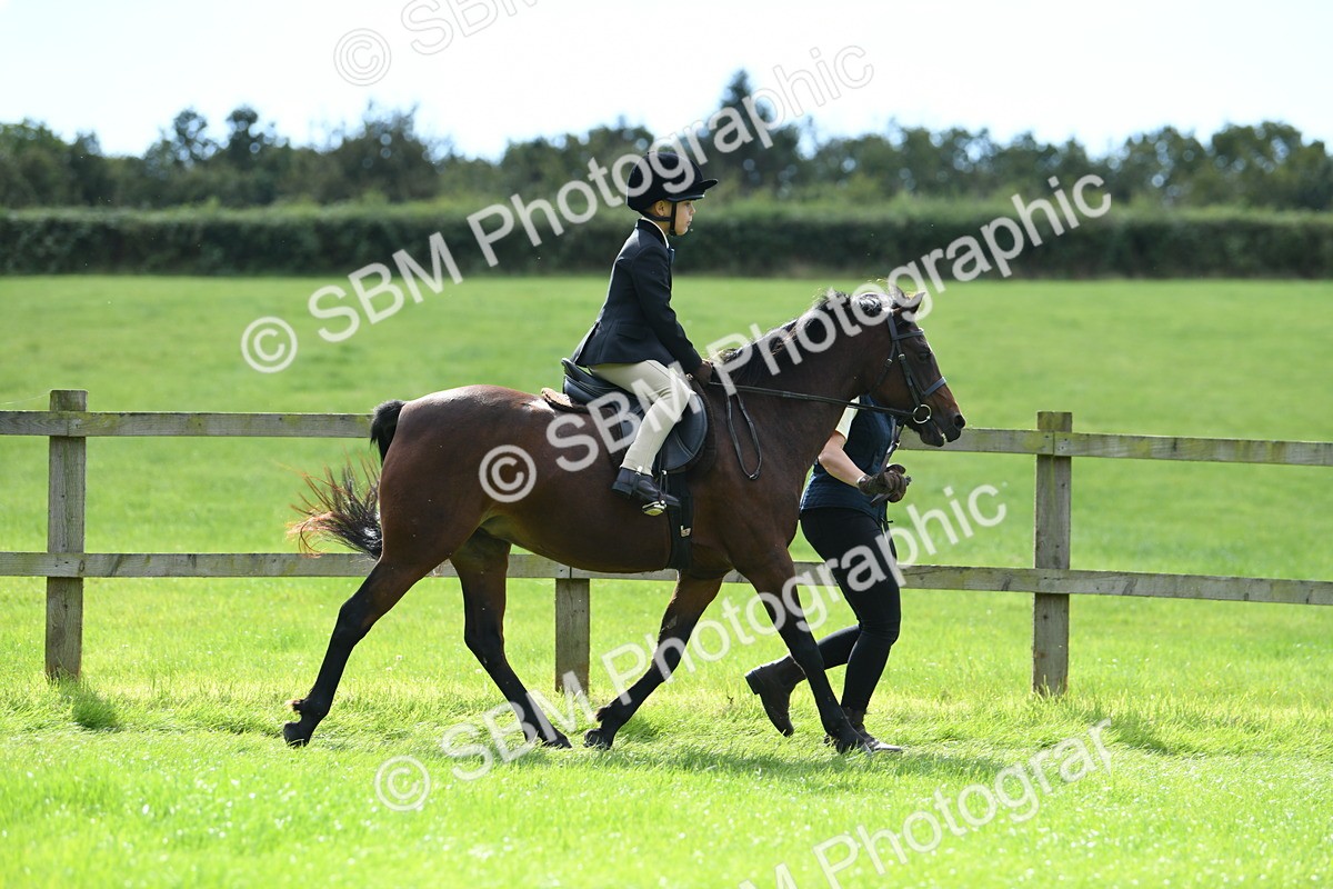 SBM_42537 - S20 - Lead Rein Mountain & Moorland Pony