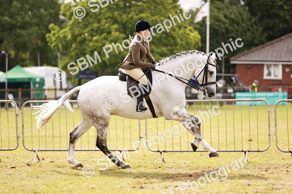SBM_11573 - Class 81-84 - RIHS Ridden hunters Inc Ladies Hunter