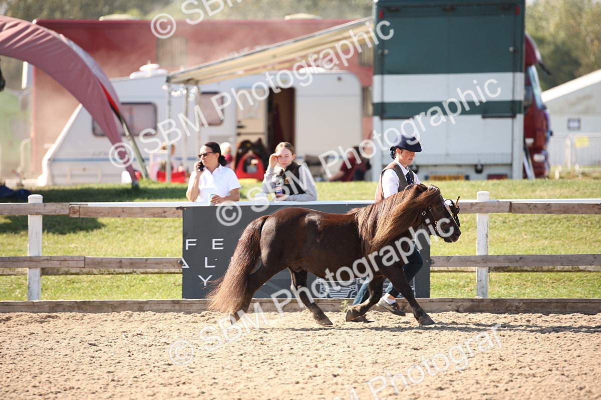 SBM_02678 - Class 16 IH M&M Wildcard