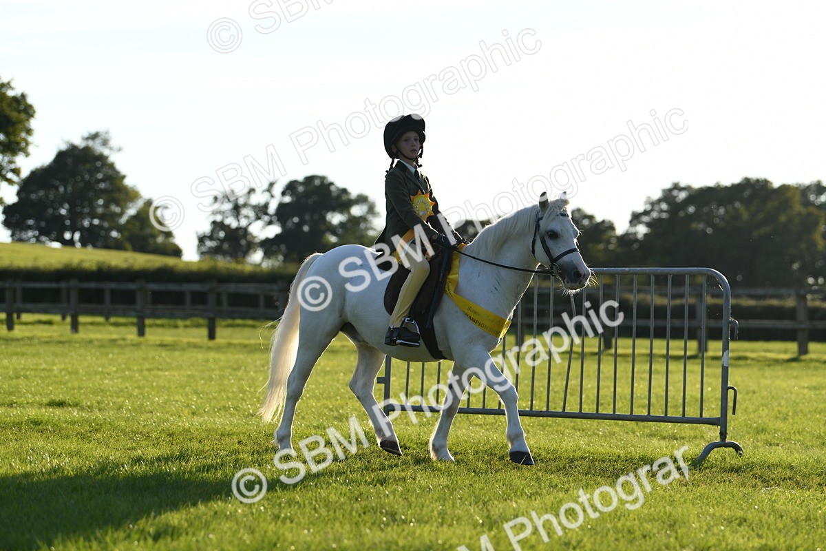 SBM_54208 - S23 - 1st Ridden Mountain & Moorland Pony