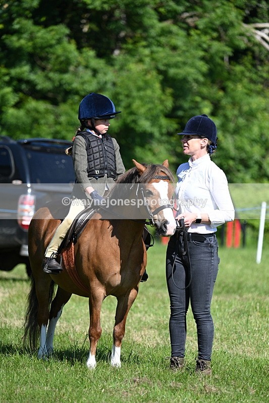 WJ7_0397 - Class 8 First Rally Pony