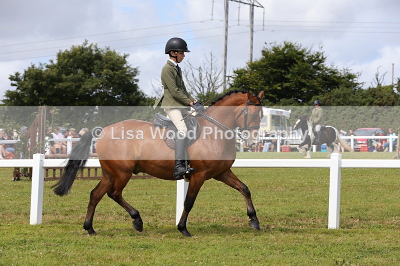 1X9A3945 - Class 32: Show Hunter Pony 153cm and under