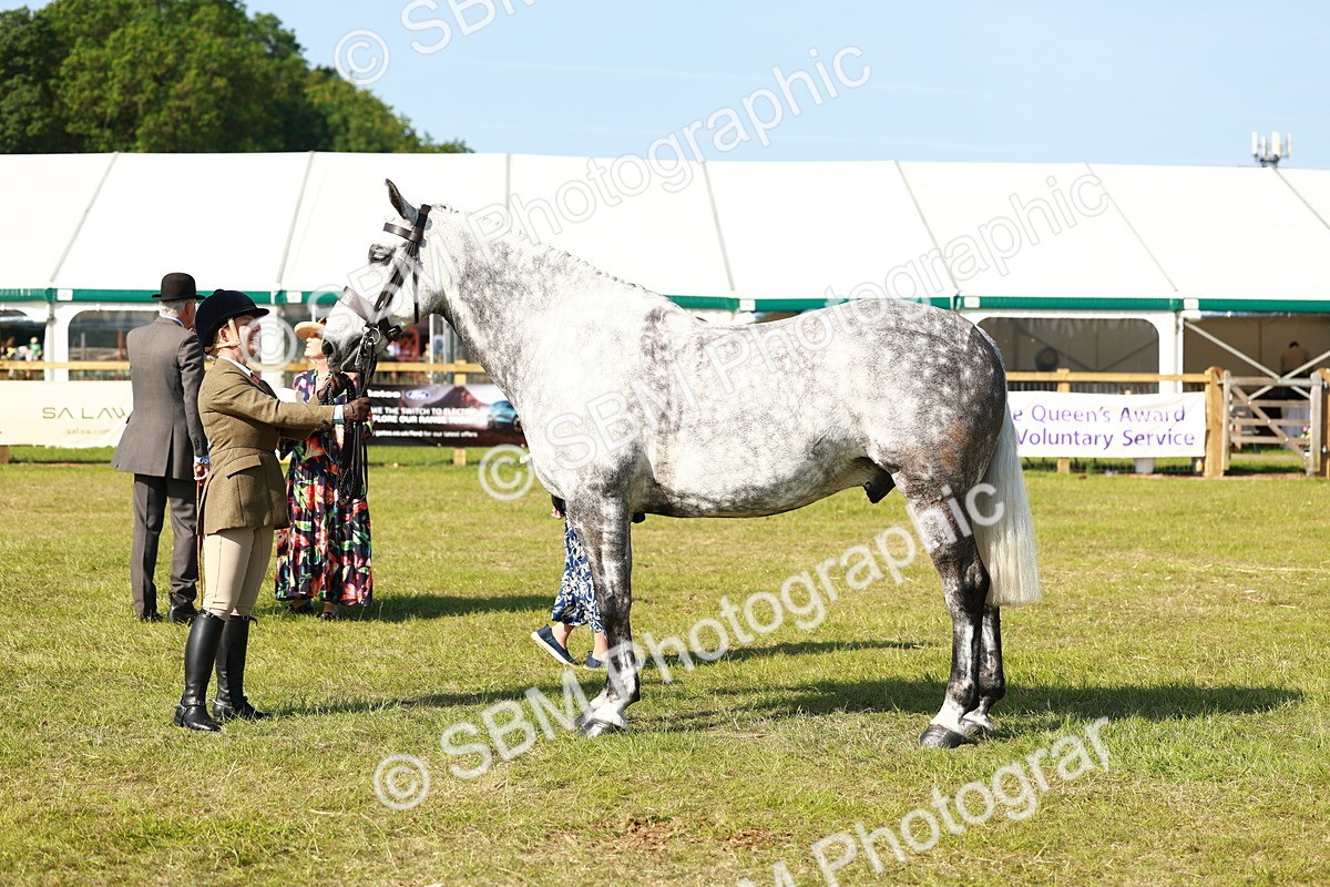 SBM_11805 - Class 66-69 - RIHS Ridden Hunters Inc Small Hunter