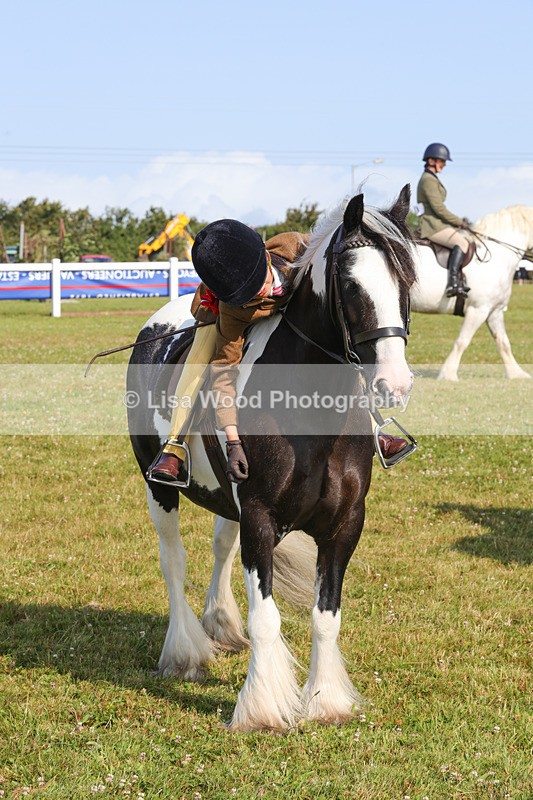 1X9A3391 - Class 28: Ridden Native/Trad Coloured Pony