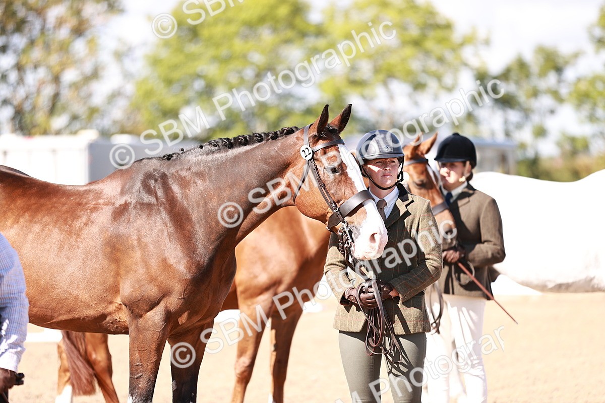 SBM_13338 - class 406 - IH Hunter