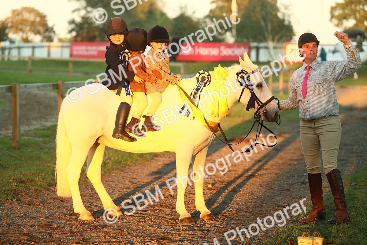 SBM_56742 - Fun & Versatile Supreme Championship