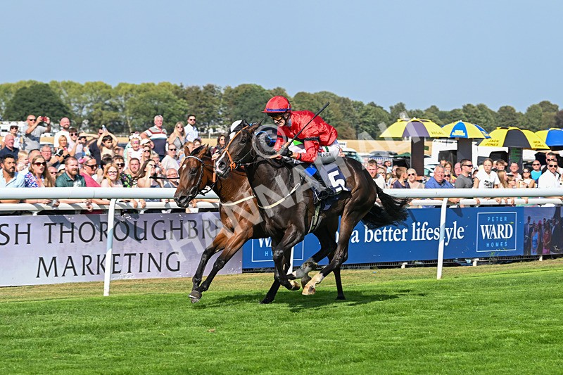 240825-Race 4-Lady Hornblower-2992 - Race 4