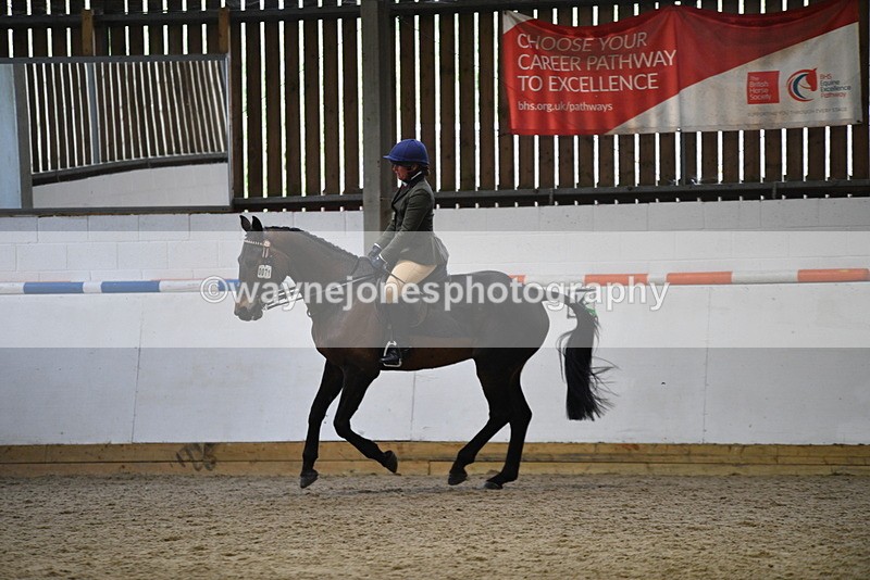 WJ5_8002 - Class 13 Ridden Part Breed