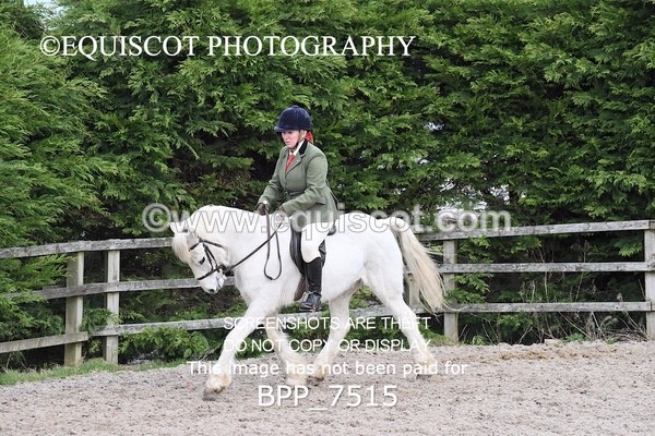 BPP_7515 - RING 1  (RIDDEN HORSES / IN HAND / VETERAN ETC)