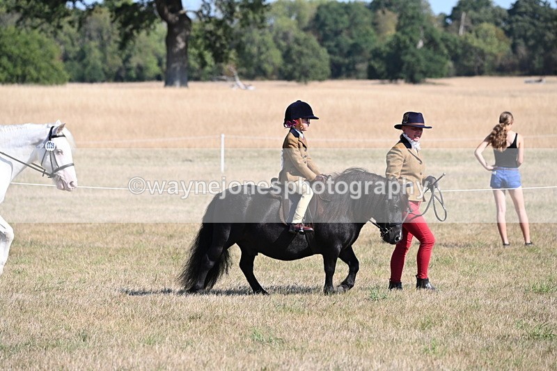 WJ6_7395 - Class 34 Judges Choice