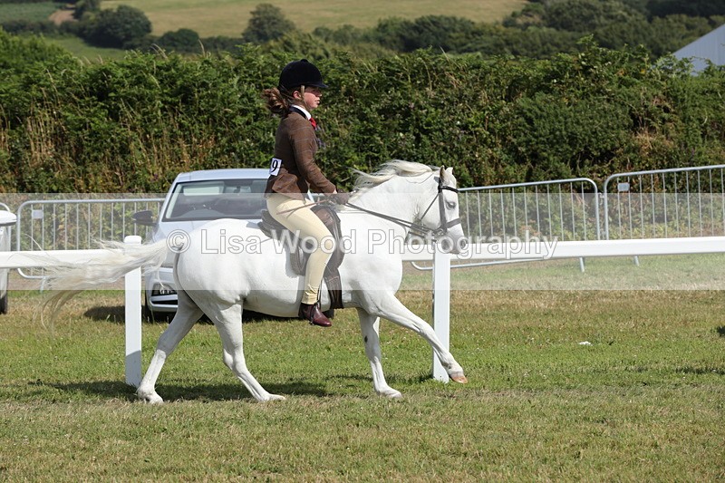 1X9A5687 - Class 40: NPS Welsh A & B