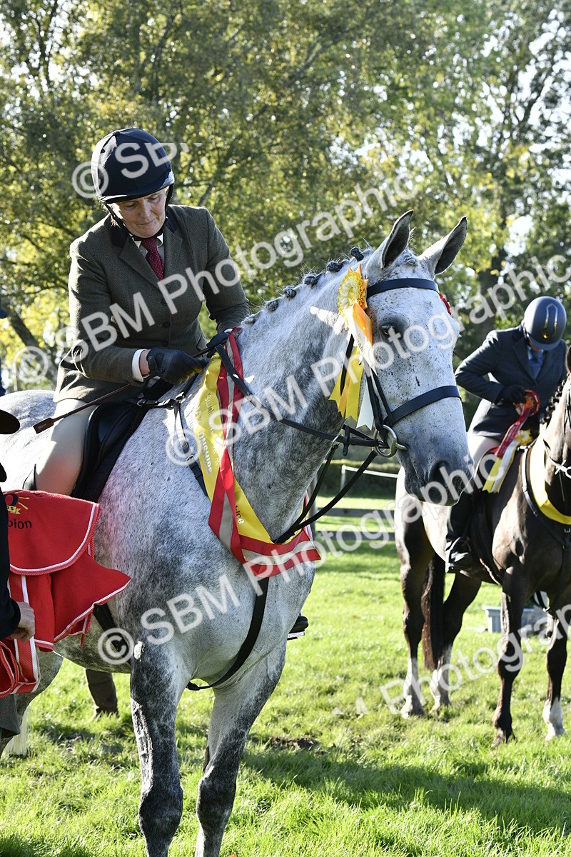 SBM_51715 - Working Hunter Supreme Championship