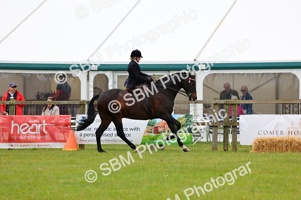 SBM_02959 - Class 9-11 Side Saddle including LIHS Rising Star Ladies Show Horse