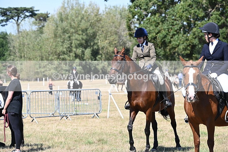 WJ6_8421 - Class 37a Best Loan Pony Ridden