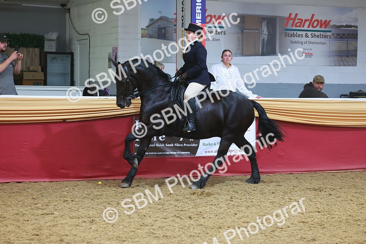 SBM_17765 - Class 952 - M&M Ridden Supreme Final
