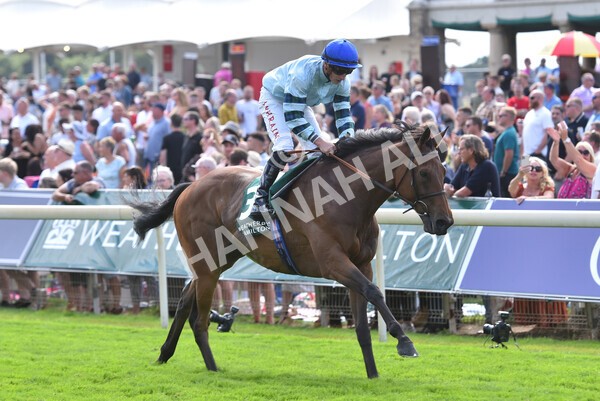 yr19082022r2-42 - Race 2 2.25pm Weatherbys Hamilton Lonsdale Cup (British Champions Series Race)