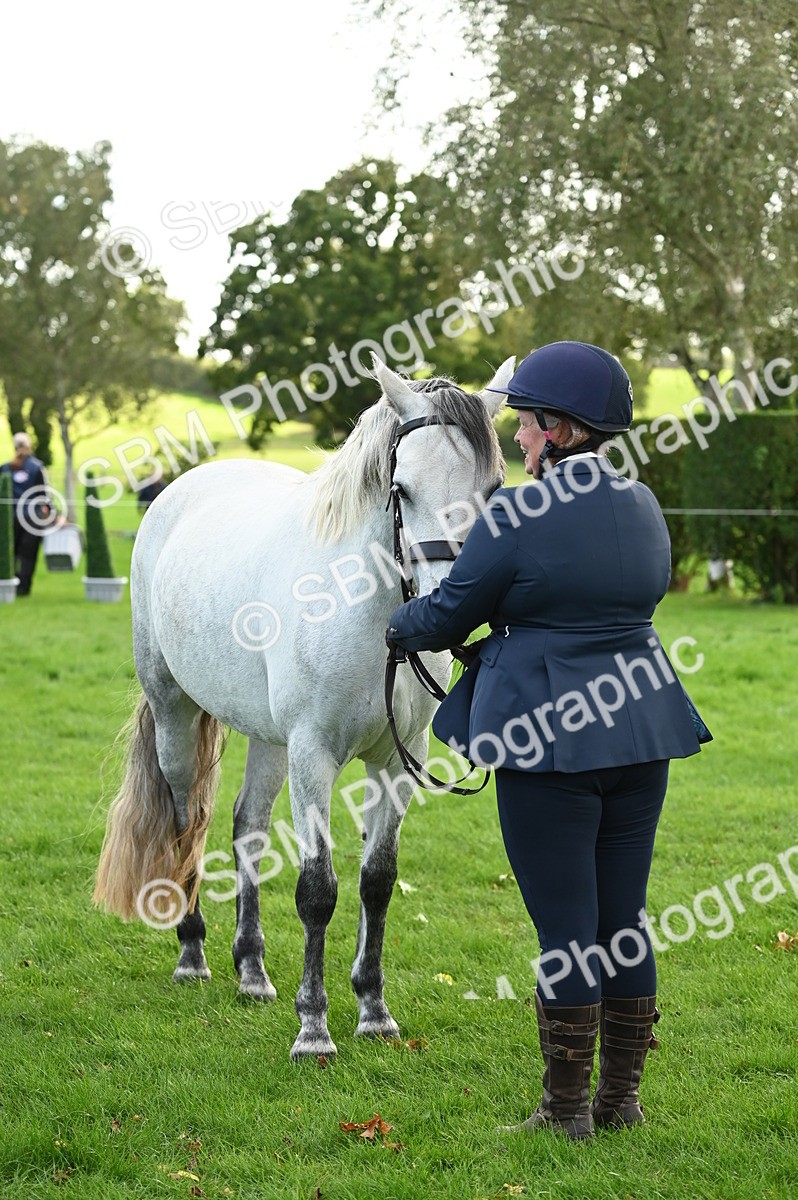 SBM_25010 - S5 - Novice & Newcomer In hand