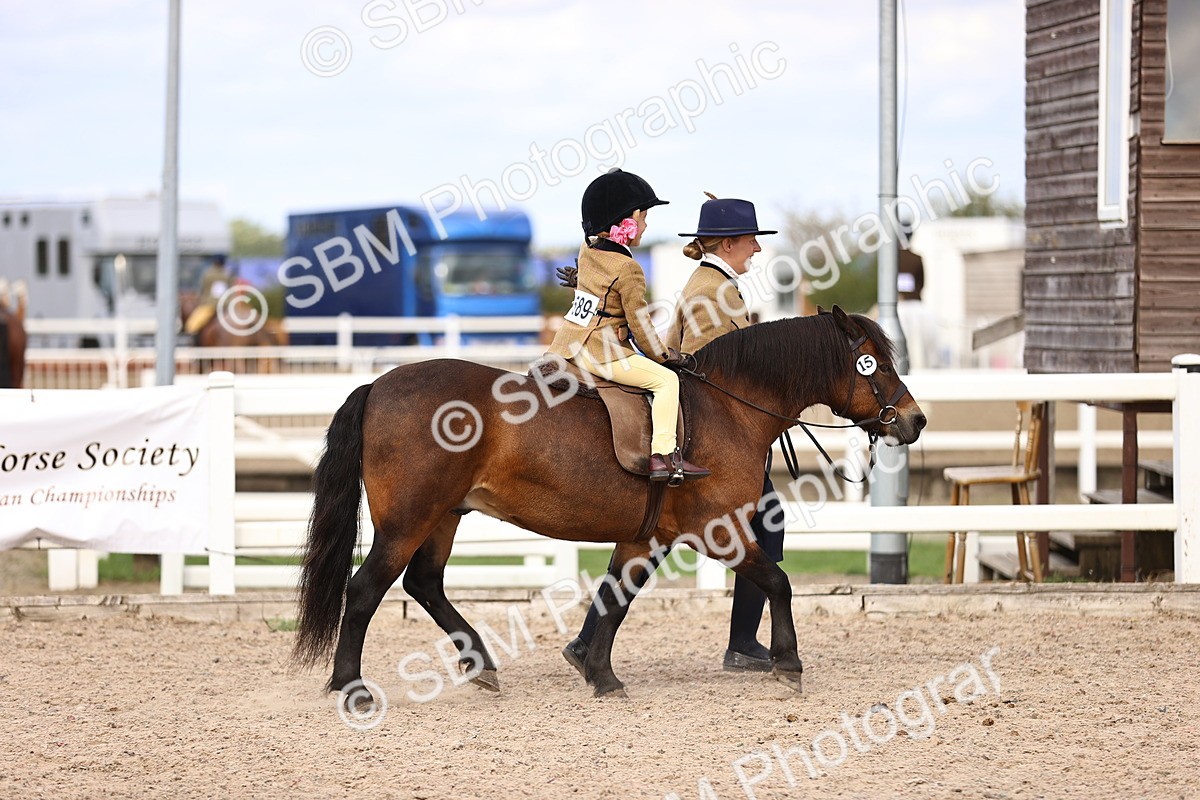 SBM_16184 - Class 420 - Horse-Pony Judge would most like to take home (IH or Ridden) Jnr