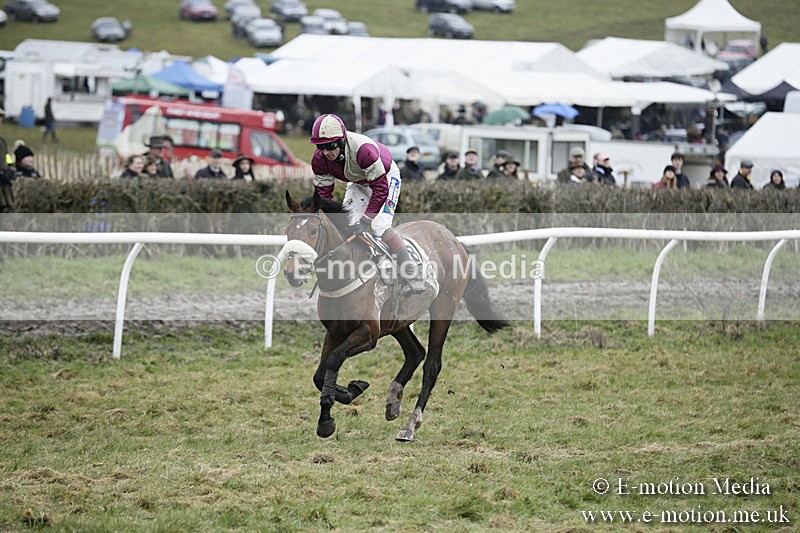 PtP 020418 -501 - Old Berks Point-to-Point Races Easter Monday 02/04/18