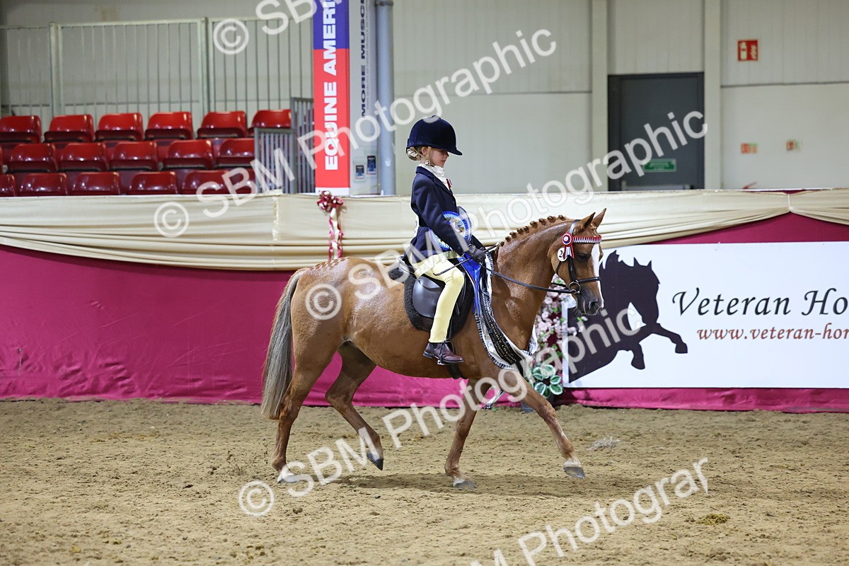 SBM_19032 - Class G Ridden Pony Champ