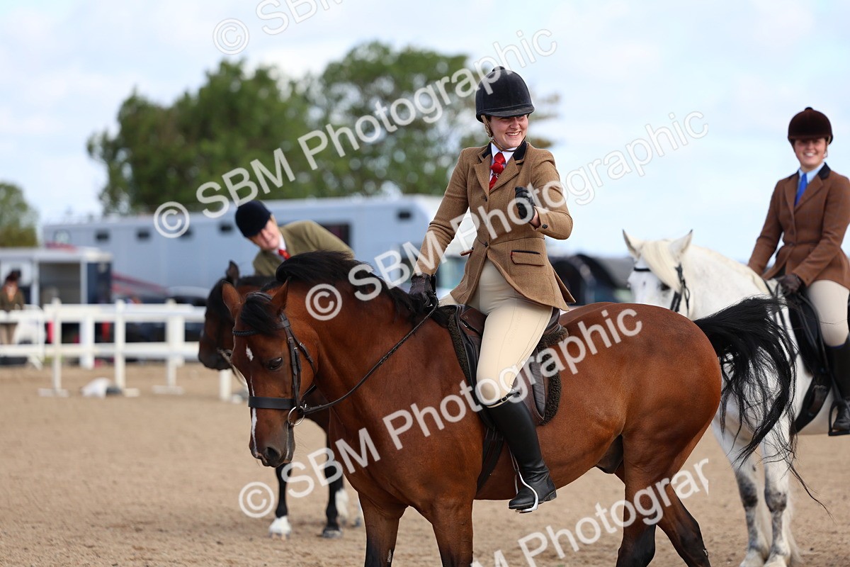 SBM_08953 - Class 302 - Ridden M&M - Large Breeds